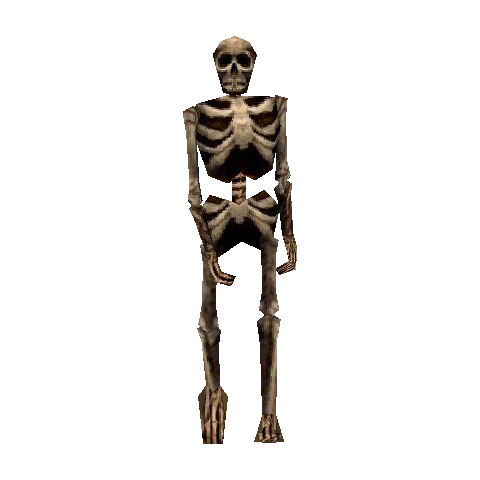 Skeleton King