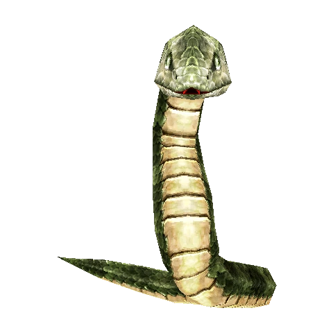 Venomous Snake